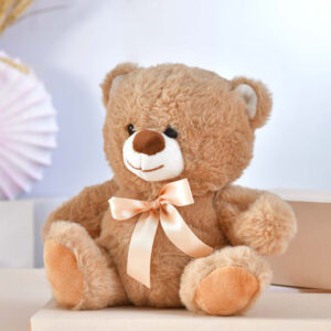Read more about the article Brown Teddy Bear – Rakhi.com
