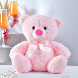 Read more about the article Pink Teddy Bear – Rakhi.com