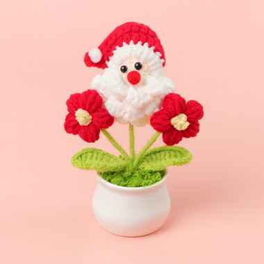 You are currently viewing Handmade Crochet Mini Christmas Flower Pot
