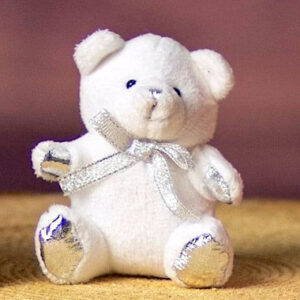Read more about the article Teddy Bear 3.5"