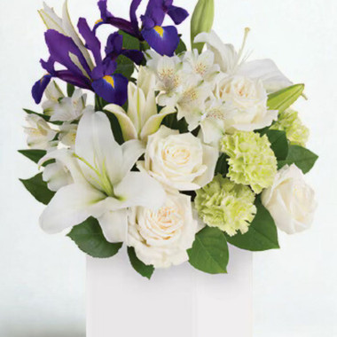 You are currently viewing Online flowers for New Zealand