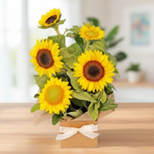 Read more about the article Sunburst Bloom Box