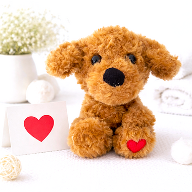 You are currently viewing Doodle Love