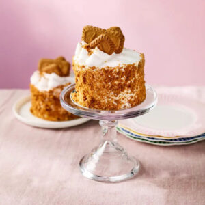 Read more about the article Mini Vegan Biscoff Delight Cake