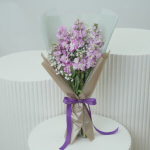 Read more about the article Pink Matthiola & Blue Statice Bouquet Online UAE